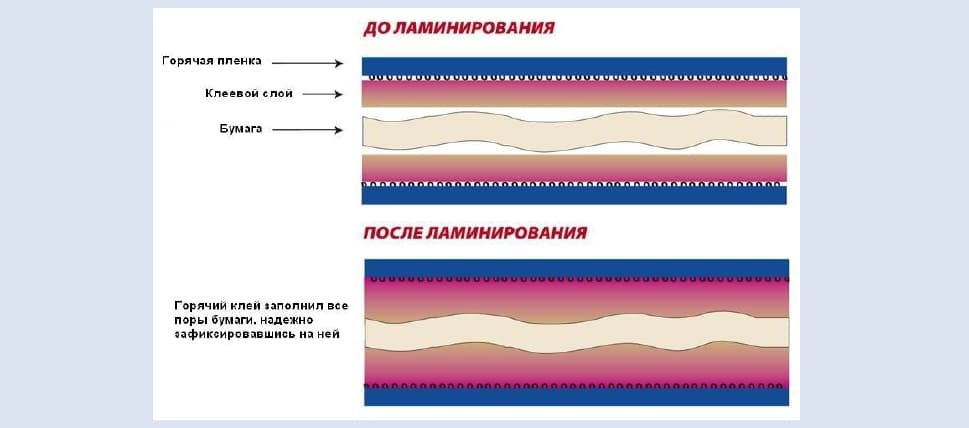 Схема слоёв бумажного носителя до и после горячего ламинирования