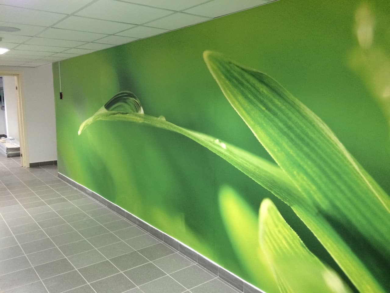 Оформление стены фотообоями с зелёными листьями
